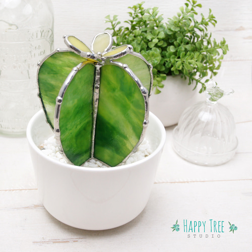 ステンドグラス 癒しの多肉植物 水やりなしで年中キレイ サボテン 黄色