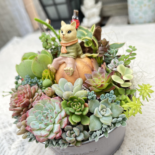 ★★壁掛け❤️★寄せ植え★このまま飾れます★豪華★多肉植物★★ このまま飾れます)】人気シリーズ♡可愛い♡釣り猫さん 多肉植物