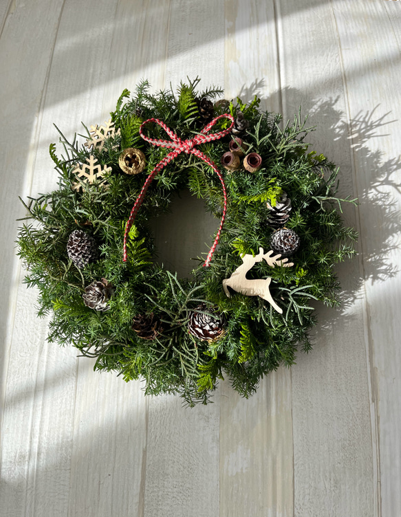 フレッシュクリスマスリース 20cm リース ブルーデイジー 通販