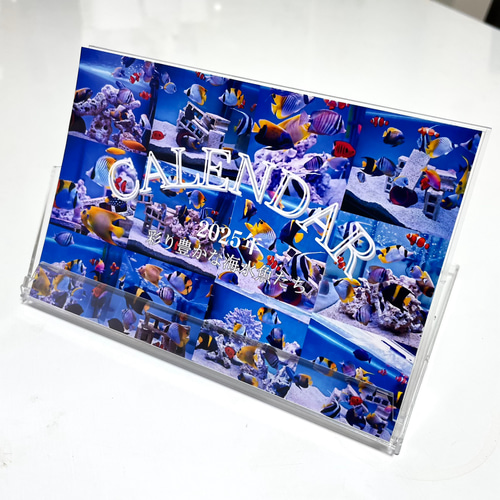 2025年彩り豊かな海水魚たち卓上カレンダー 2個3000円以上購入なら同じ