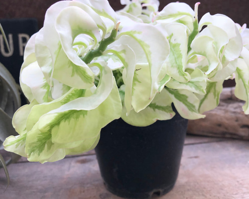 b953c103d7199bba96dfc627e097c8