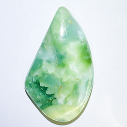 フローライト 笑口 亀 フローライト 笑口 亀