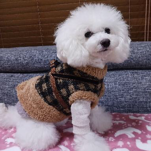 韓国犬服ブランド lilipouent ハーネス リバーシブル 犬用