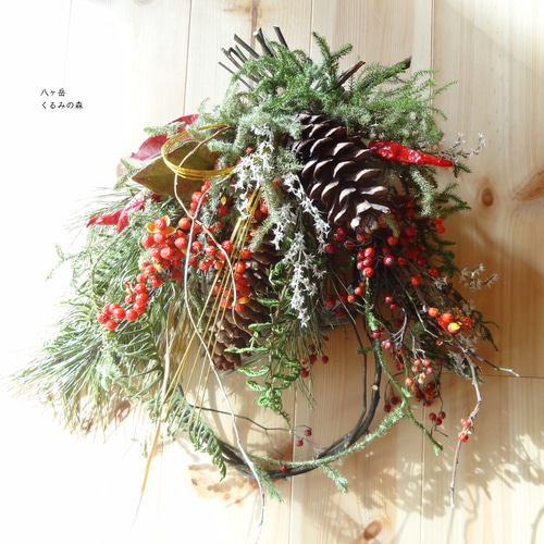 ヒカゲカズラのお正月のグリーンリース ボックス入り ヒカゲノカズラと