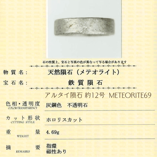 【最安値】 鑑別済 天然石 指輪 meteorite69 約12号 アルタイ隕石 リング 指輪・リング