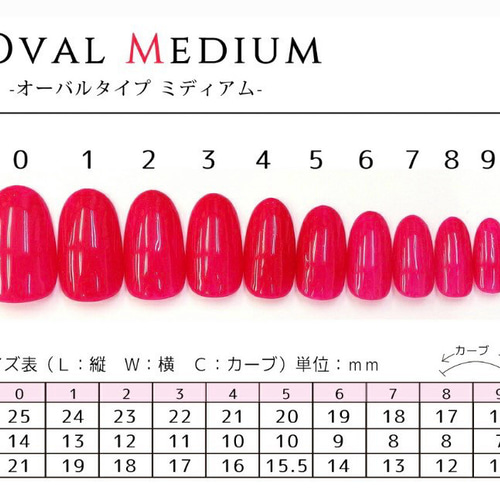 ボルドー×チェック ネイルチップ クリスマス マグネット 冬 春 秋