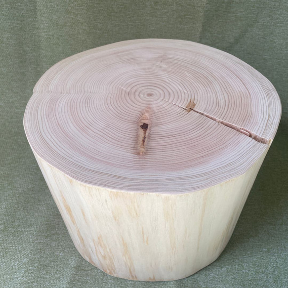 檜　切り株　高さ約19.5㎝ 檜 切り株 高さ約19.5㎝