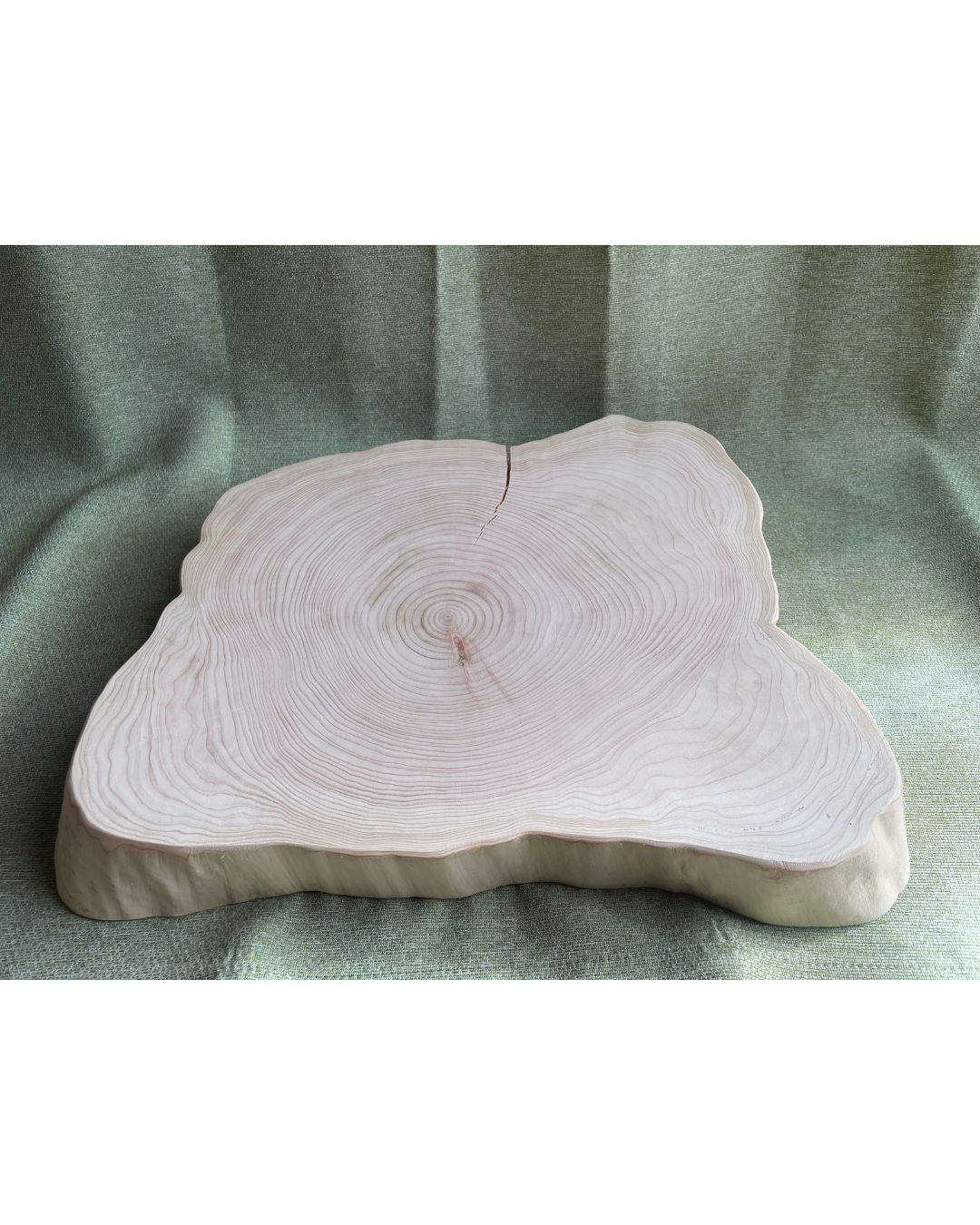 ヒノキ切り株スライスNo.1016　直径32～46ｃｍ前後