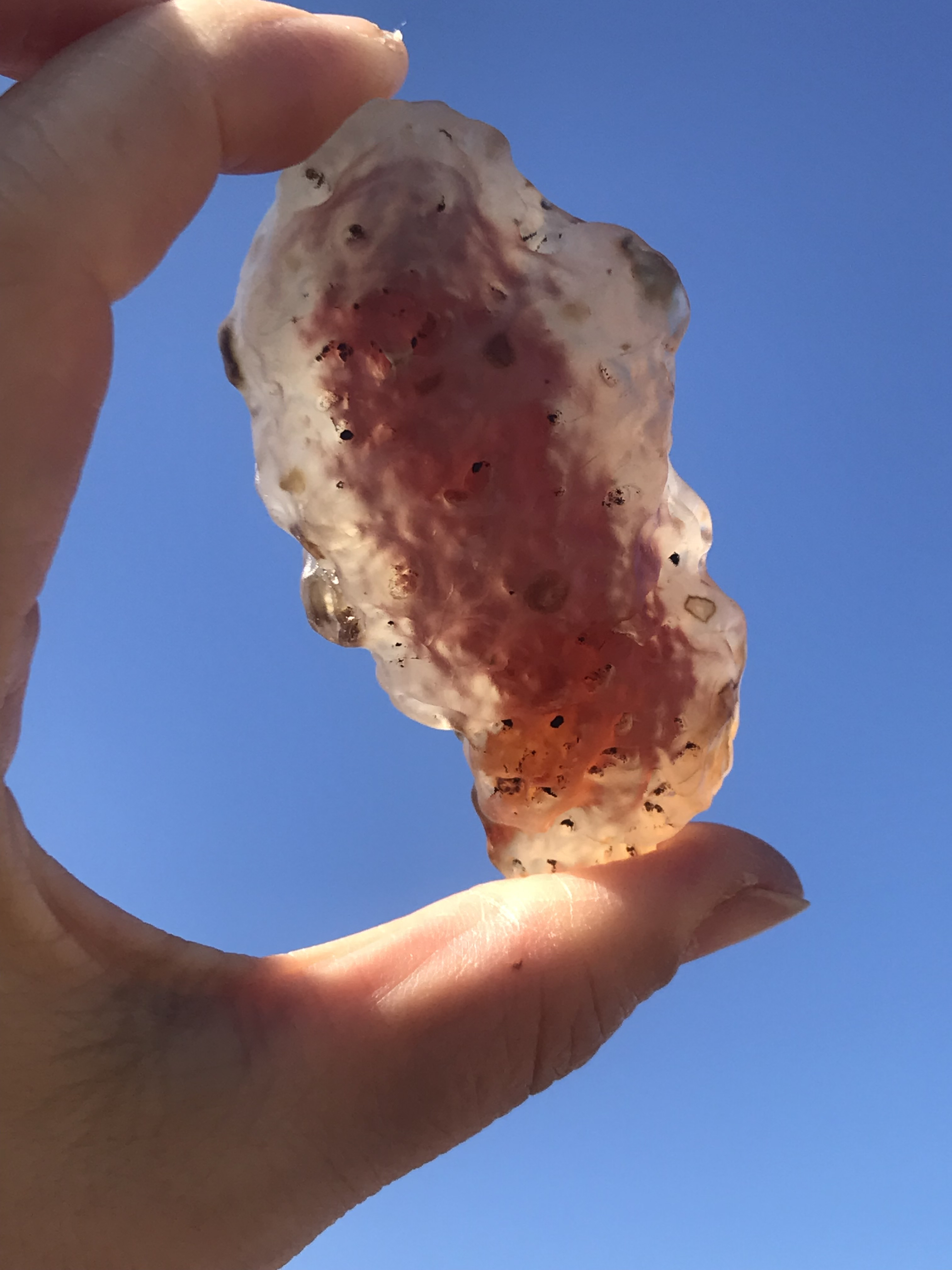 ゴビ石−1319 ゴビ瑪瑙　原石