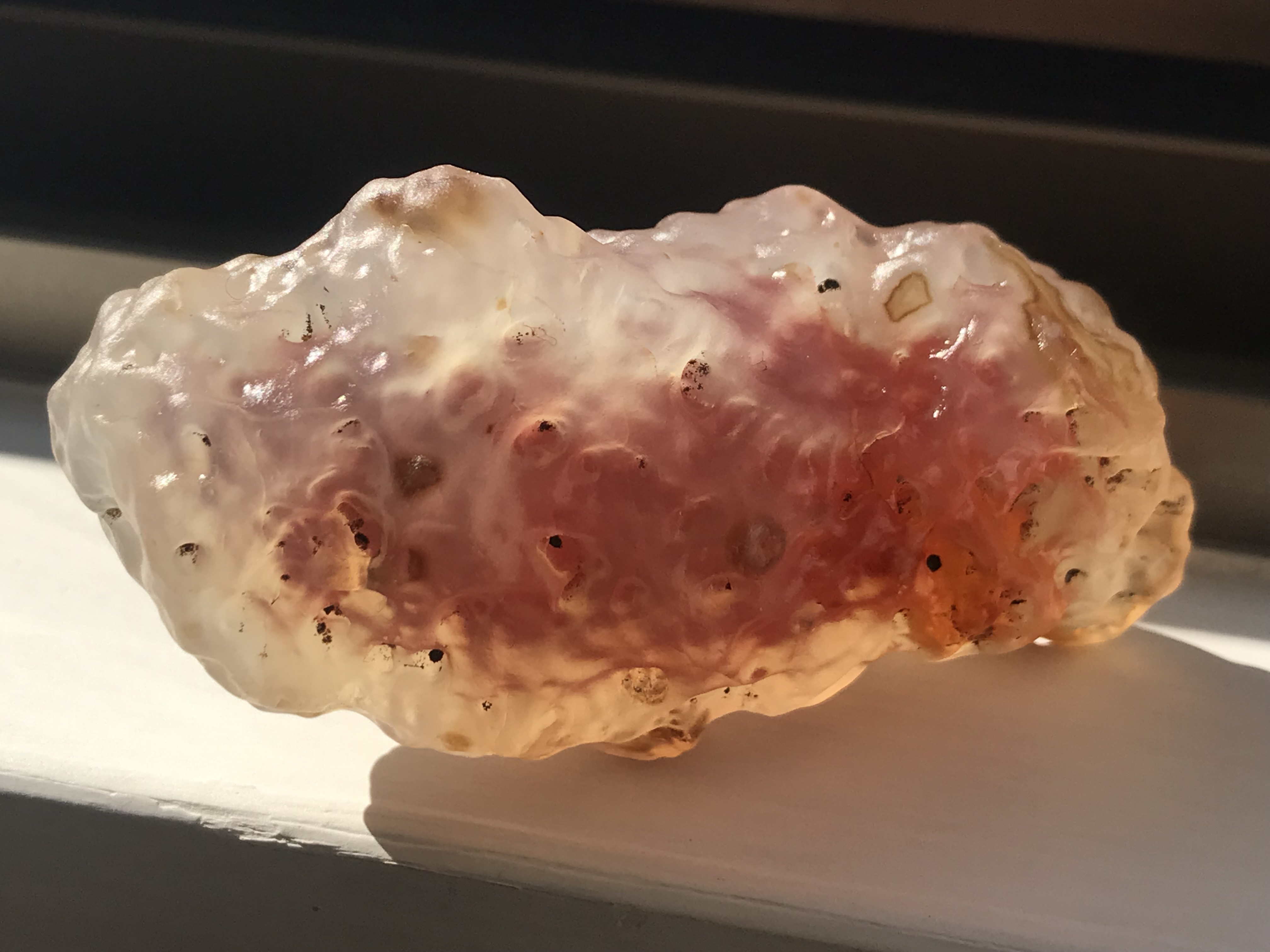 ゴビ石−1319 ゴビ瑪瑙原石