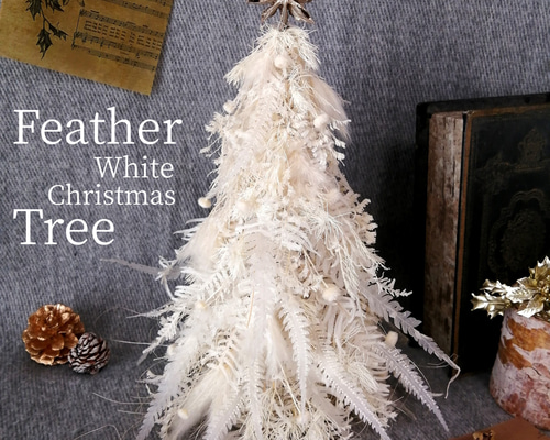 5b467e57eb96bd886d29649c95b91e