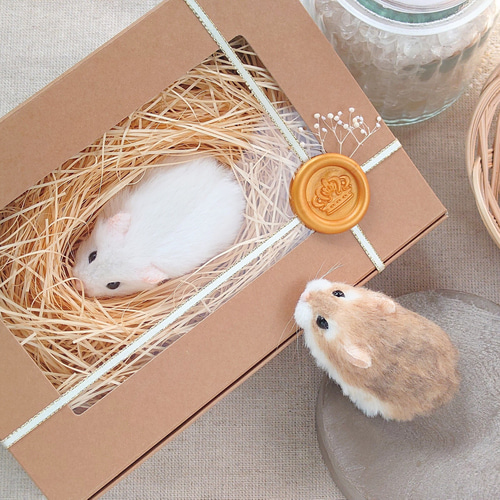 セミオーダー・通常注文ページを統一しました｜ロボロフスキー