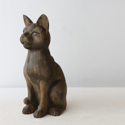 f51534bbd3496521f319e9f2cc0b70