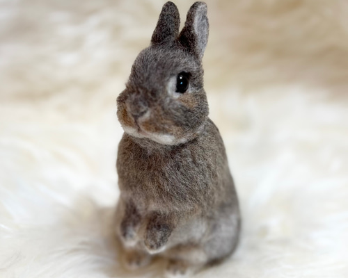 3aa8739db2b1a78136d3c94623c8be