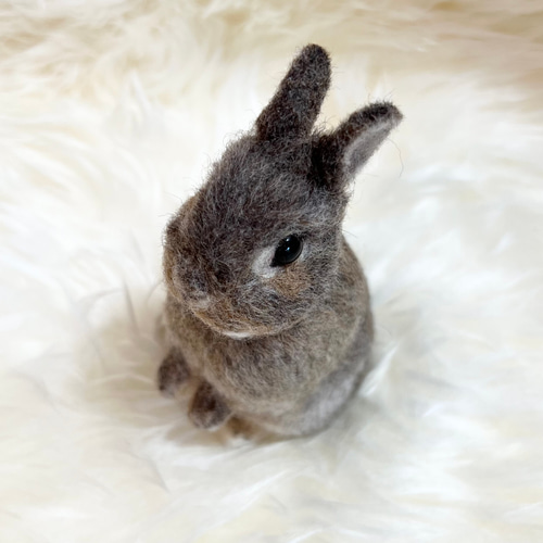 期間限定】 羊毛フェルト うさぎ ネザーランドドワーフ お座り 植毛