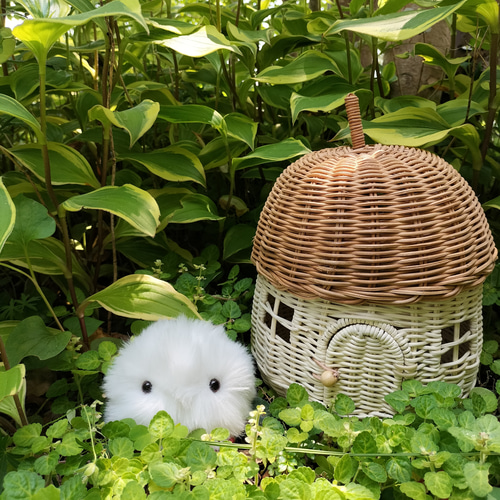 手のひらに、生きてるみたいな命の重み・もふもふのお友達