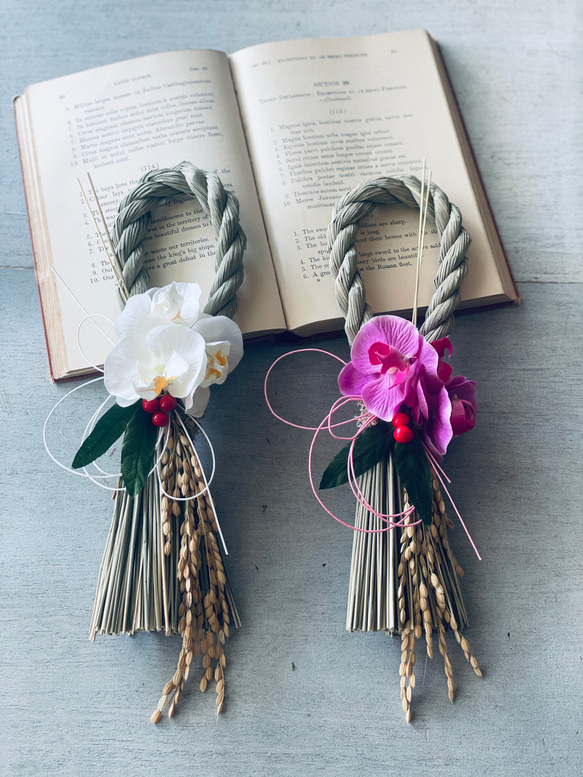 2色の胡蝶蘭から選ぶしめ縄 お正月飾り 正月飾り お飾り お正月 しめ縄