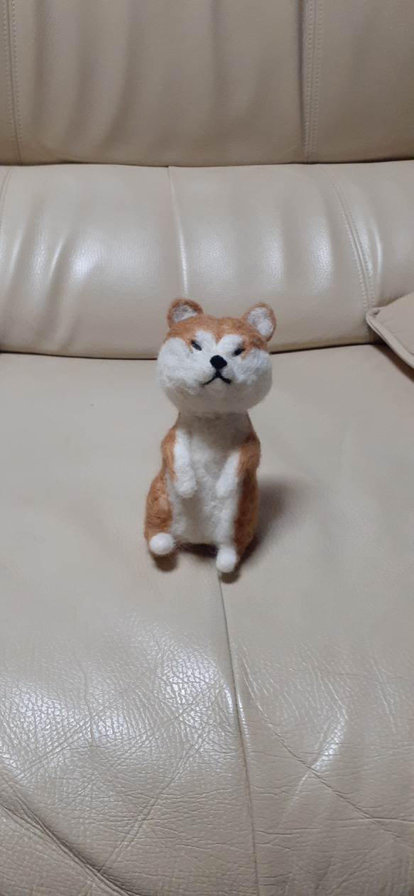 羊毛フェルト 秋田犬 羊毛フェルト Kingこうた 通販 18547498