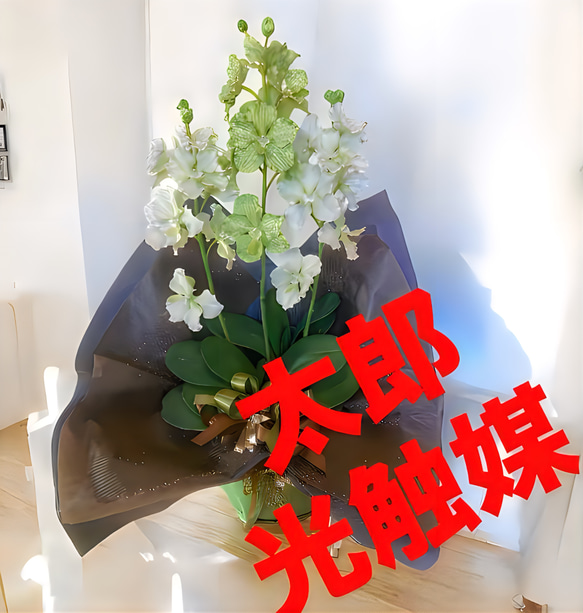 光触媒 人工観葉植物 ウォールグリーン フェイクグリーン 胡蝶蘭と