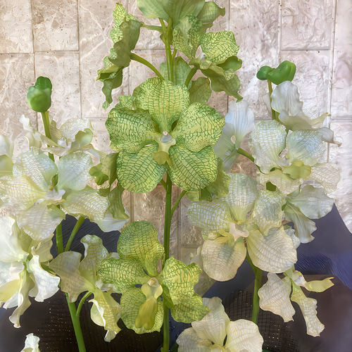 光触媒　人工観葉植物　フェイクグリーン　胡蝶蘭　パンダオーキッド8760 光触媒人工観葉植物フェイクグリーン胡蝶蘭パンダオーキッド8760