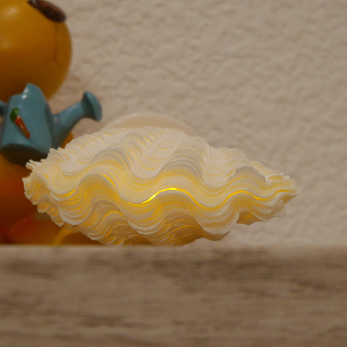 宮古島産 極小 シャコ貝ランプ LEDライト内臓の台座付き 極小! 激美