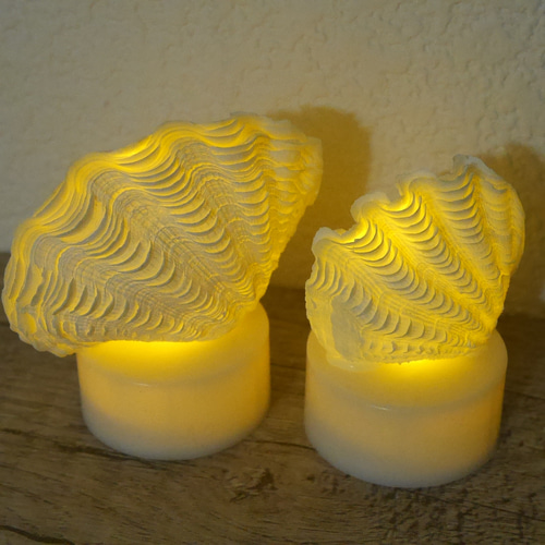 シャコ貝のルームランプ 宮古島産 極小 シャコ貝ランプ LEDライト内臓の台座付き 極小