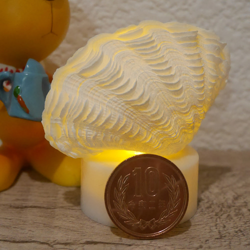 シャコ貝のルームランプ シャコ貝のルームランプ