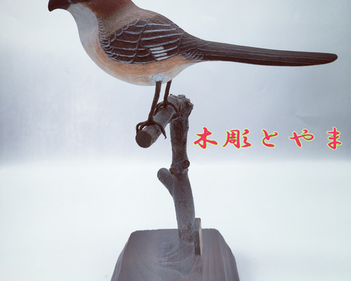 addcdfb769f4bed2d748c0094bd942