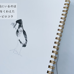 ハシビロコウと花束/リング綴じノート 4枚目の画像