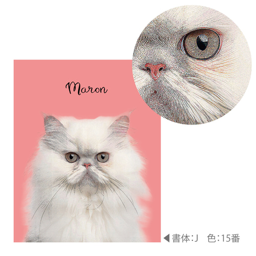 ペット 犬 猫 イラスト 写真 メモリアル 似顔絵 ポスター うちの子 07 うちの子 似顔絵 イラスト 犬 猫 ペット アート パネル ポスター