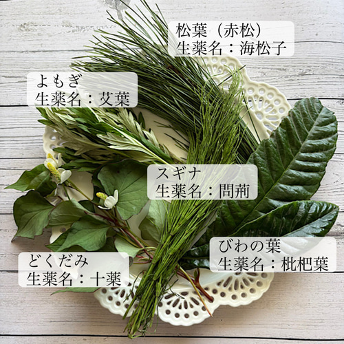 30g【野草5種配合】よもぎ／ビワの葉／どくだみ／松葉／スギナ