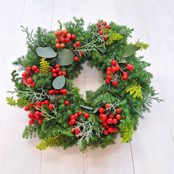 針葉樹香るクリスマスフレッシュリース/サンキライの実/選べる2サイズ