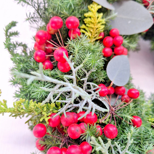 針葉樹香るクリスマスフレッシュリース/サンキライの実/選べる2サイズ