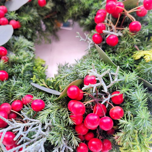 針葉樹香るクリスマスフレッシュリース/サンキライの実/選べる2サイズ