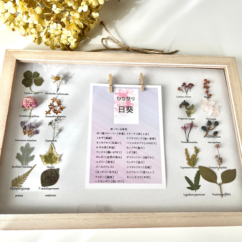 草花の写真フレーム12枚収納可能 植物標本 写真立て プレゼント 名入れ