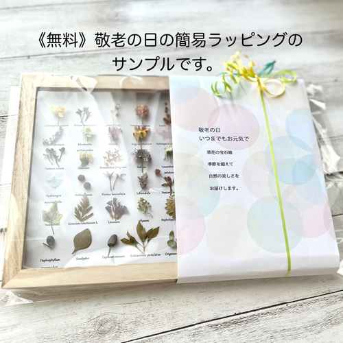 草花の写真フレーム12枚収納可能 植物標本 写真立て プレゼント 名入れ