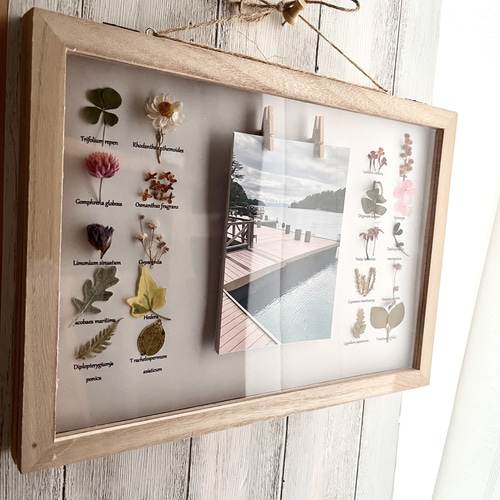 草花の写真フレーム12枚収納可能 植物標本 写真立て プレゼント 名入れ