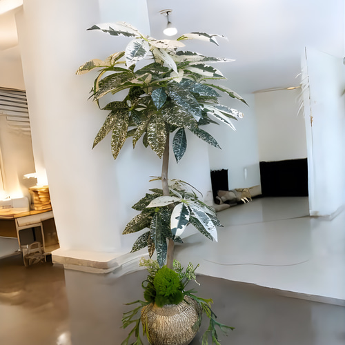 光触媒 人工観葉植物 ウォールグリーン フェイクグリーン パキラツリー