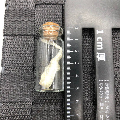 60サイズ一杯分！白ヘビの抜け殻纏め売り 60サイズ一杯分！白ヘビの抜け殻纏め売り 【公式通販】