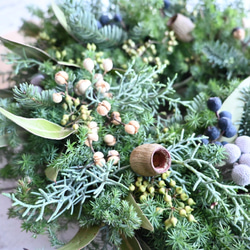 ４種のグリーンと木の実たちのフレッシュクリスマスリース＊30センチ 4枚目の画像