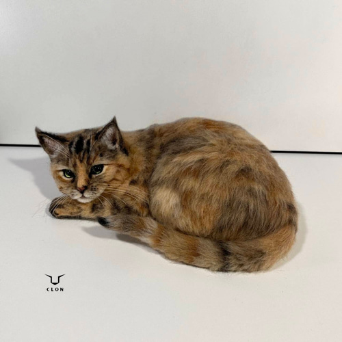 羊毛フェルト　猫　オーダー　KiraKiraページ リアル羊毛フェルト 猫 オーダー - るなねこ GALLERY | minne