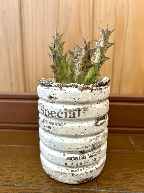 植物食竜の骨 国内最大級の草食恐竜の骨、長崎で発見「新種の可能性も