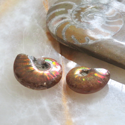 美しい化石標本◇マダガスカル産／ファイアーアンモナイトの化石／9