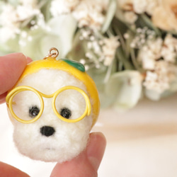 羊毛フェルト　ポメラニアン✕マルチーズ　（ポメマル)　置物 羊毛フェルト ポメラニアン✕マルチーズ （ポメマル) 置物