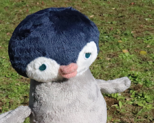 寝そべりペンギン※受注製作となります ぬいぐるみ mofu mofu 通販