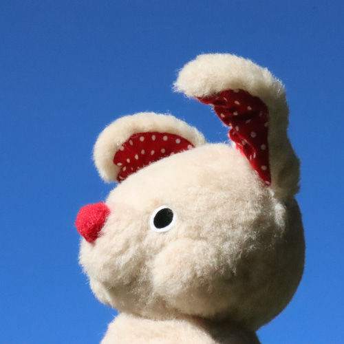 ジェラトーニ 白ねこ着ぐるみ 洋服コスチューム ダッフィー
