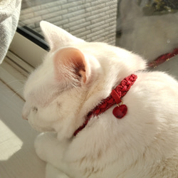 猫の首輪　トリミングブレード　ツイストサテン赤 4枚目の画像