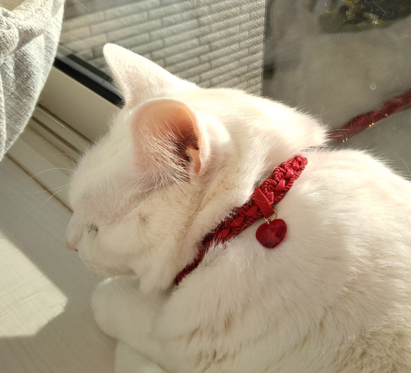 猫の首輪　トリミングブレード　ツイストサテン赤 4枚目の画像
