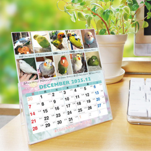 2025年 鳥づくし卓上カレンダー インコ 小鳥 カレンダー 2025