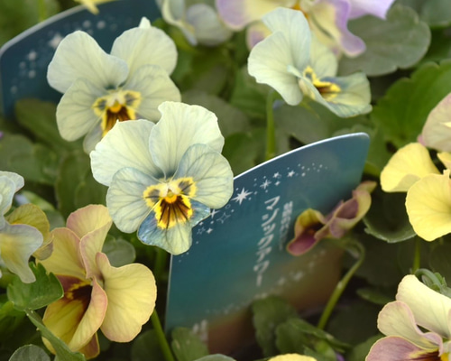 b41fc0bbe665033daf7fd82ebd6d83